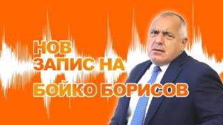 Гущерът скъса опашката: Прокуратурата скри Бойко от скандалния запис: Ще го размажа оня от „Еврохолд”, че не се съобразява с мене