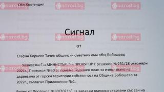 Само в Narod.bg: Разследван за корупция БСП кмет изсече незаконно 1300 тополи (ДОКУМЕНТ)