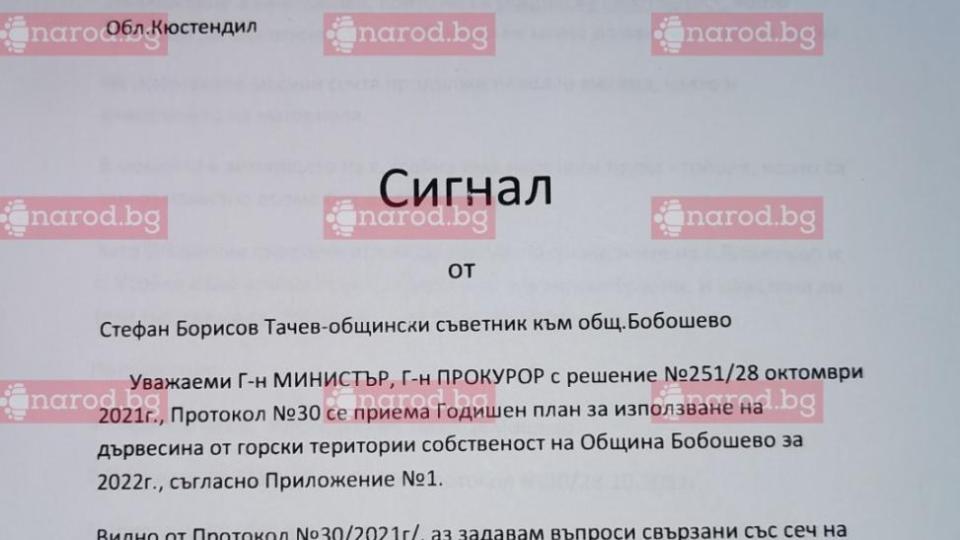 Само в Narod.bg: Разследван за корупция БСП кмет изсече незаконно 1300 тополи (ДОКУМЕНТ)